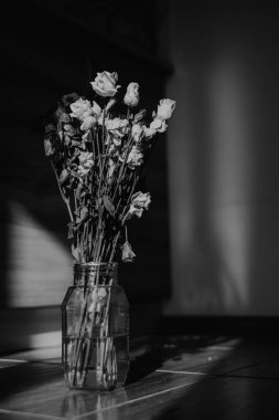 Bir buket Eustoma çiçeği. siyah ve beyaz 