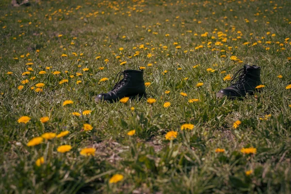 Karahindiba tarlası ve siyah botlar. Eğer geçici olarak müsait değilseniz 
