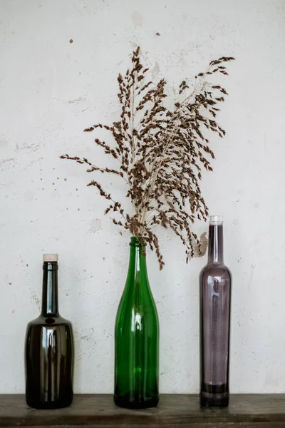 color bottles. home decoration. wine bottle as vase