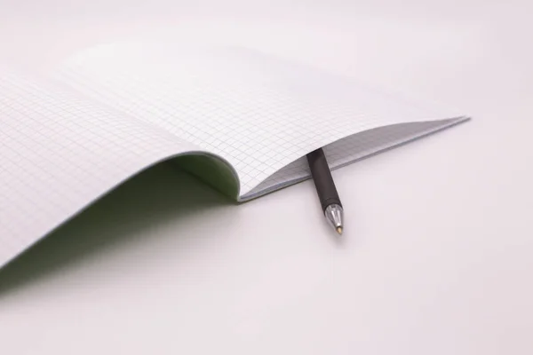 Checkered notebook and fountain pen — Stock Image Checkered Notebook Fountain Pen Royalty Free Stock Photos