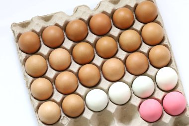 Fresh eggs on white background with concept of food and life in abstract indicated by the differentiate color of eggs. clipart