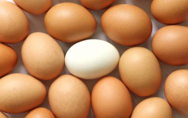 Fresh eggs on white background with concept of food and life in abstract indicated by the differentiate color of eggs. clipart