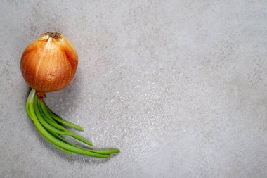 Gri bir taşın üzerinde bir damla su ile taze soğan. Arkaplan, reklam, yemek tarifleri veya yemek kitabı için illüstrasyon.