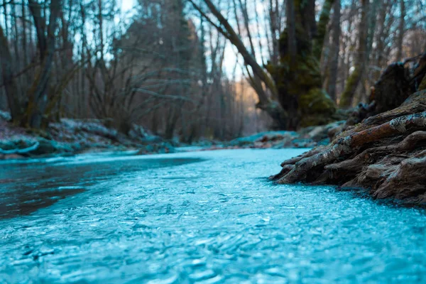 Icy Stream Woods — Stock Photo, Image