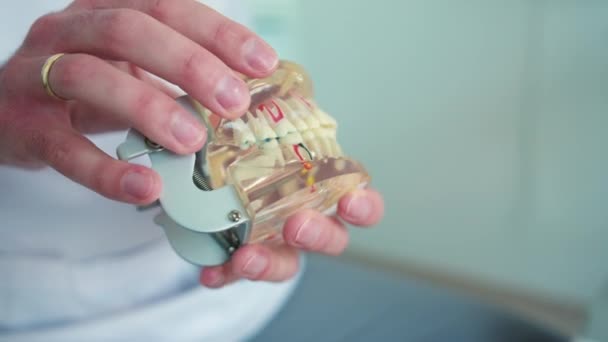 Стоматолог Показывает Стоматологическую Модель — стоковое видео