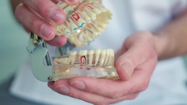 Dentysta Pokazujący Model Dentystyczny — Wideo stockowe