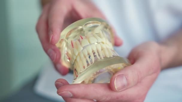 Zahnarzt Zeigt Zahnärztliches Modell — Stockvideo