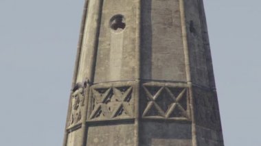 Peregrine Falcon Gotik kuleden havalanıyor ve gökyüzüne doğru uçuyor.