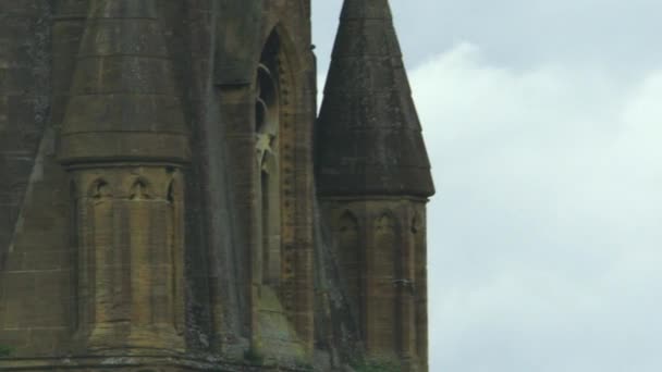 Halcón Peregrino Volando Cerca Torre Gótica — Vídeos de Stock