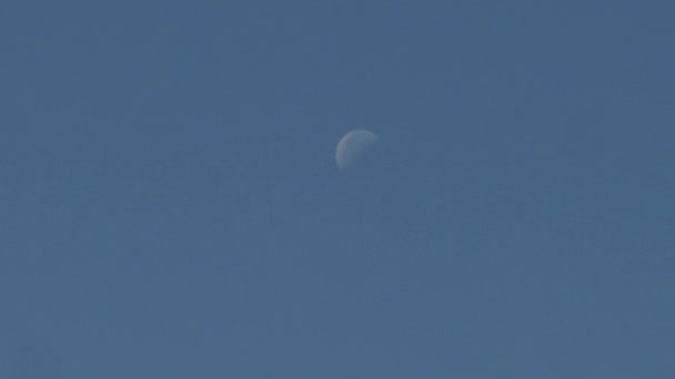 Lune Blanche Pâle Sur Ciel Bleu — Video