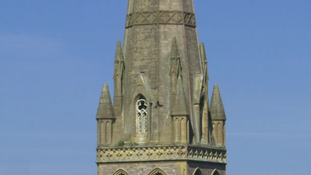 Peregrine Falcon Gotik kuleden havalanıyor ve şehrin üzerinde uçuyor.
