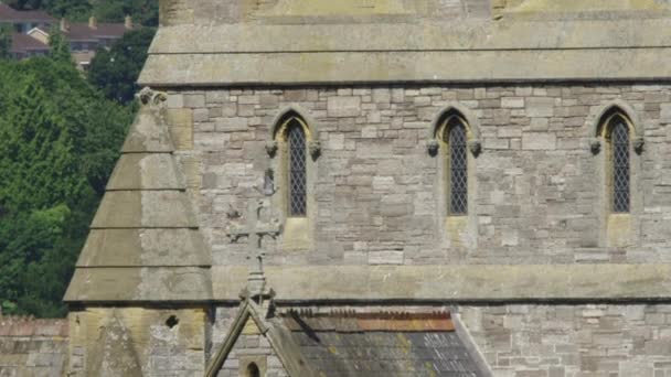 Elang Peregrine Lepas Landas Dari Gereja Dan Terbang Atas Bangunan — Stok Video