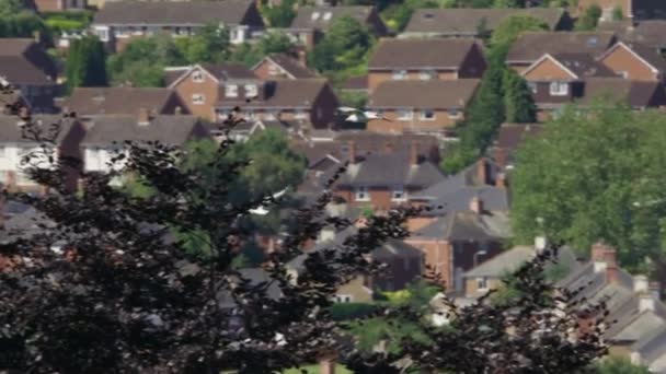 Falconos Peregrinos Volando Sobre Edificios — Vídeo de stock