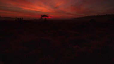 Beyaz kruvazörlerin açılma zamanı