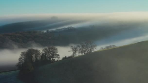 Poranna Mgła Nad Krajobrazem — Wideo stockowe