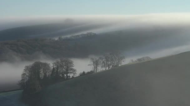 Ochtendmist Boven Landschap — Stockvideo