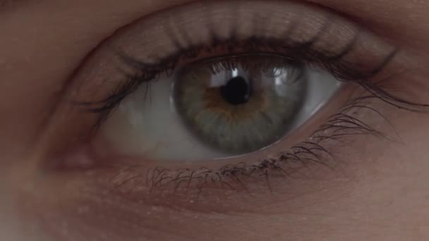 Närbild av ett öga, en ung flicka. — Stockvideo