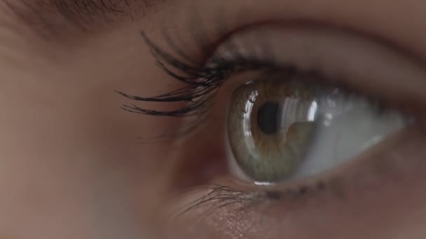 gros plan du côté de l "œil avec des cils .