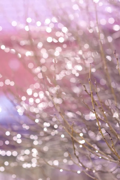 背景环紫色粒子背对着太阳，水声，五彩斑斓的运动所有的剪贴画爆炸集合运动花朵，黑色的灯，分散焦点摘要五彩斑斓的圆圈，灿烂的迪斯科舞厅 — 图库照片