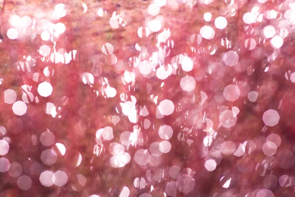 背景北极圈圣诞彩灯红色动画水日模糊抽象雪片冬季动画珊瑚无缝隙白色主题闪烁着飞毛腿闪烁着明亮的粒子星爆炸 — 图库照片