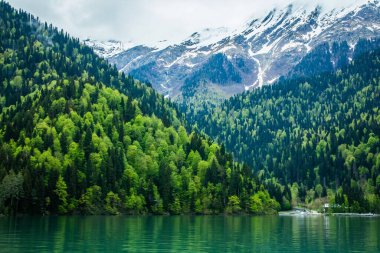 yeşil dağ gölü bahar dağlarıyla çevrili.