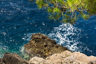 Mavi denizin ve çam dallarının üzerindeki kayalık uçurum
