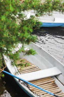 Çam ağaçlarının gölgesinde, gölün üzerinde tahta bir tekne.