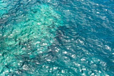 mavi, akuamarin deniz suyu, şeffaf, parlayan su, arkaplan, doku veya soyutlama