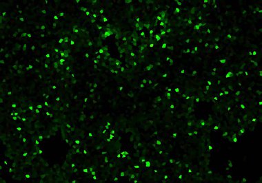 soyut arkaplan tasarımı, desen