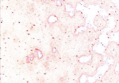 soyut arkaplan tasarımı, desen