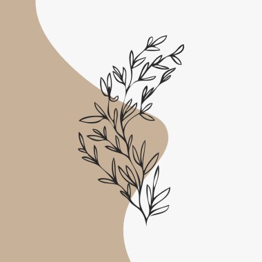 Beyaz üzerine izole edilmiş bitki, vektör çizimi 