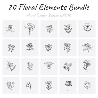 Çiçek seti, vektör illüstrasyonu 