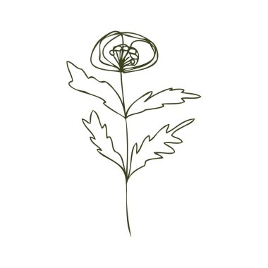 Beyaz renkte izole edilmiş çiçek, vektör çizimi 