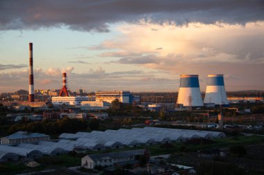 Günbatımında birleşen bitkinin görüntüsü