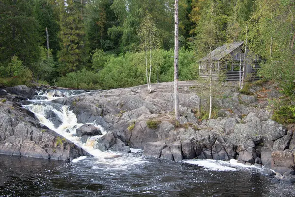 Cascade Dans Forêt Été — Photo