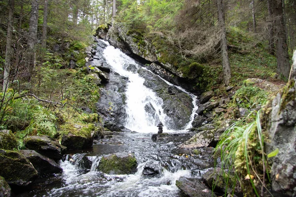 Vodopád Letním Lese — Stock fotografie