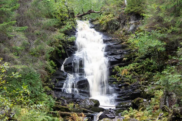 Cascade Dans Forêt Été — Photo