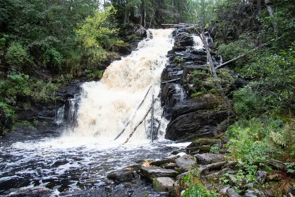 Vattenfall Sommarskogen — Stockfoto