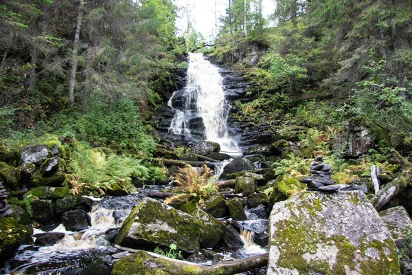 Cachoeira Floresta Verão — Fotografia de Stock
