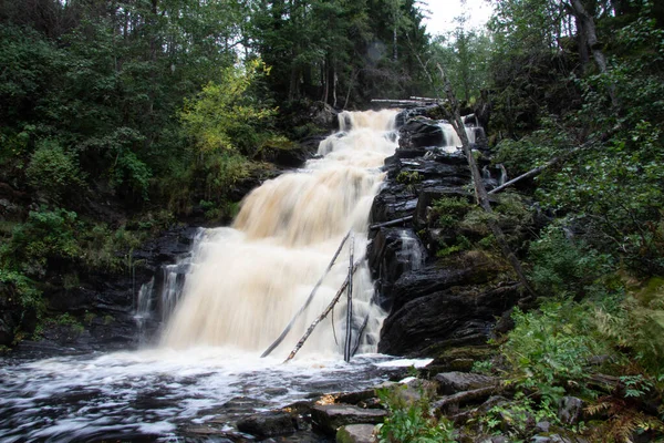 Cascata Nella Foresta Estiva — Foto Stock