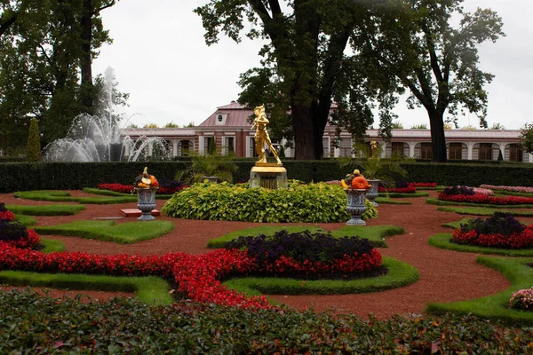 Schöner Park Mit Blumen Und Gras — Stockfoto