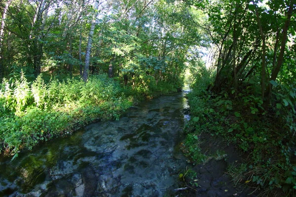 Río Montaña Con Fondo Piedra Bosque — Foto de Stock