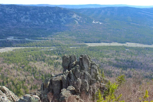 Bergsklippor Reser Sig Över Skogen — Stockfoto