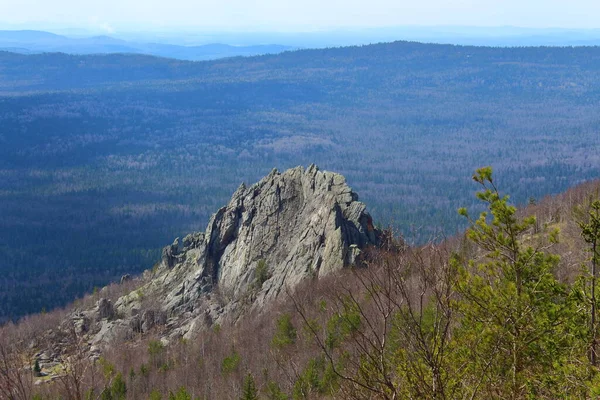 Bergsklippor Reser Sig Över Skogen — Stockfoto