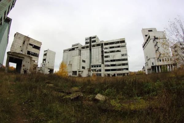 森林中央由废弃的工业建筑组成的综合体 — 图库照片