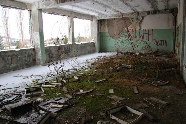 Plantas Edificio Abandonado —  Fotos de Stock