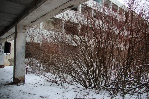 在冬天透过树木看到一座废弃的建筑物 — 图库照片