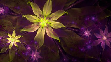 Soyut fraktal arkaplan, diğer yıldızların ve çiçeklerin karmaşık geometrik desenlerine sahip büyük, benzersiz, neredeyse psikedelik uzay çiçekleri, hepsi parlak renkli.