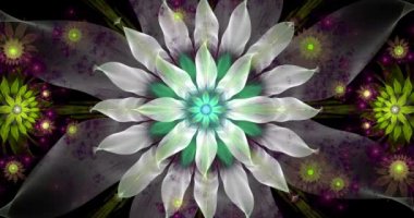 Hızlı renk değişimi döngüsü, soyut fraktal video, büyük beyaz çiçek ve dekoratif yıldızlar ve etraftaki uzay çiçekleri, 4k, 4096p, 25fps