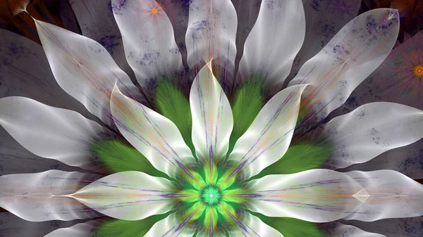 Geniş Beyaz Çiçekli Dekoratif Yıldızlı Parlak Renklerde Uzay Çiçekleriyle Soyut — Stok fotoğraf